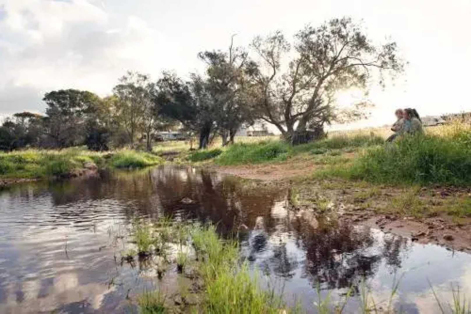 Northbrook Farmstay