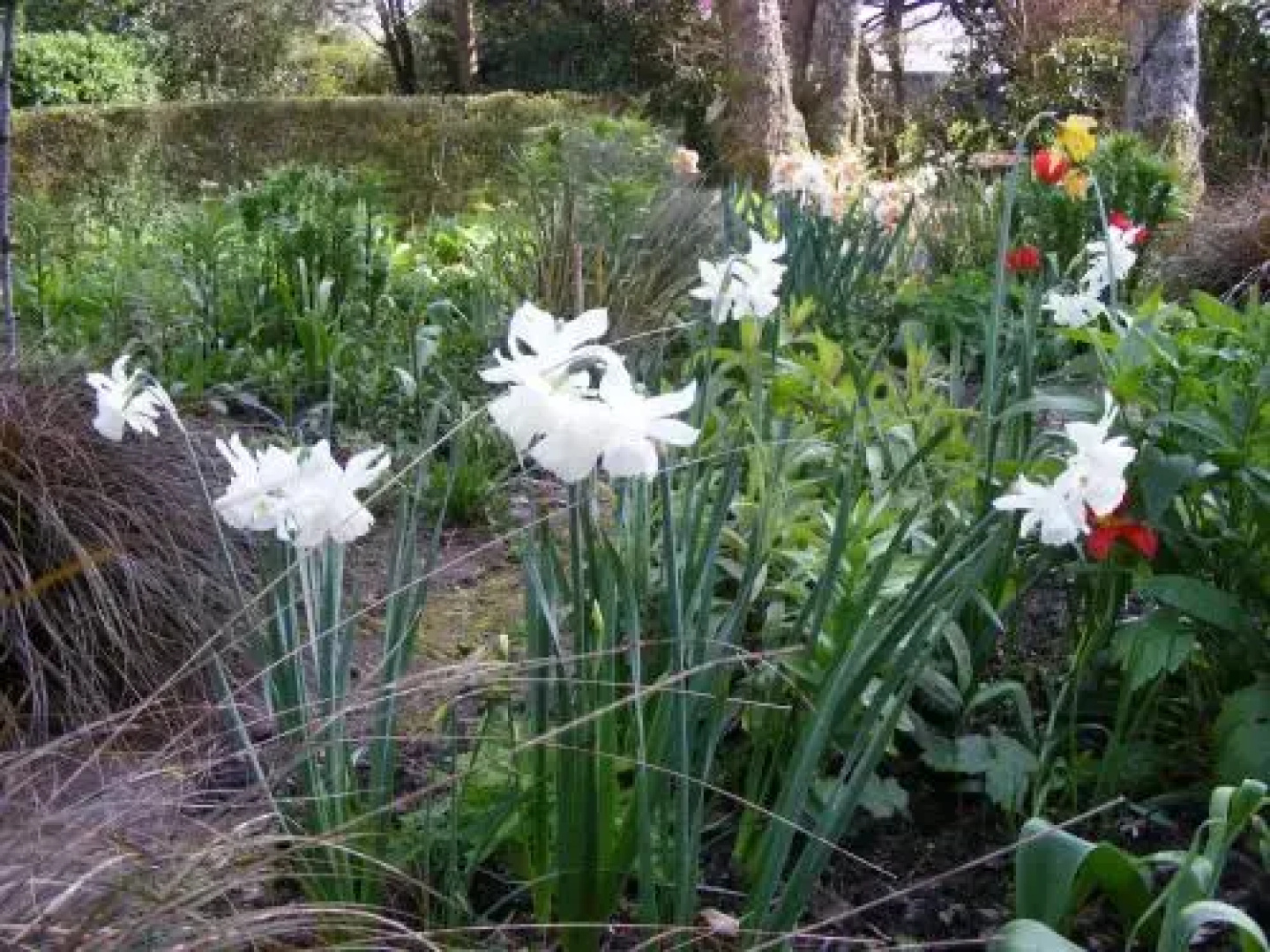 Bleanaskill Lodge & Achill Secret Garden