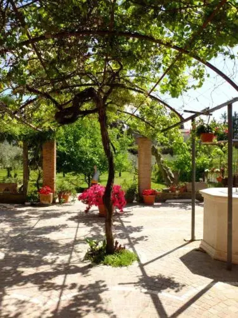 LUpupa B&B