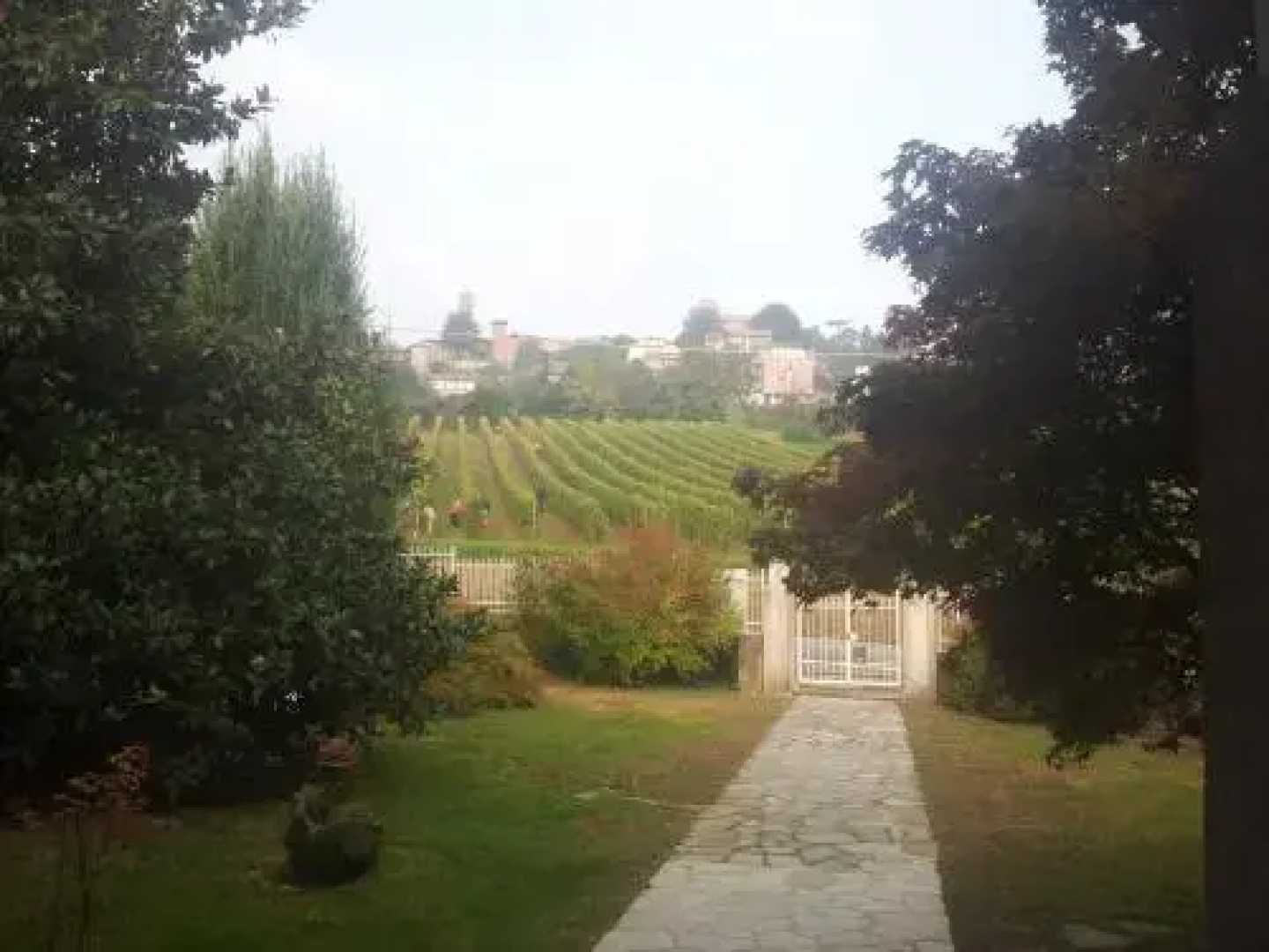 B&B Vigneto Pardom