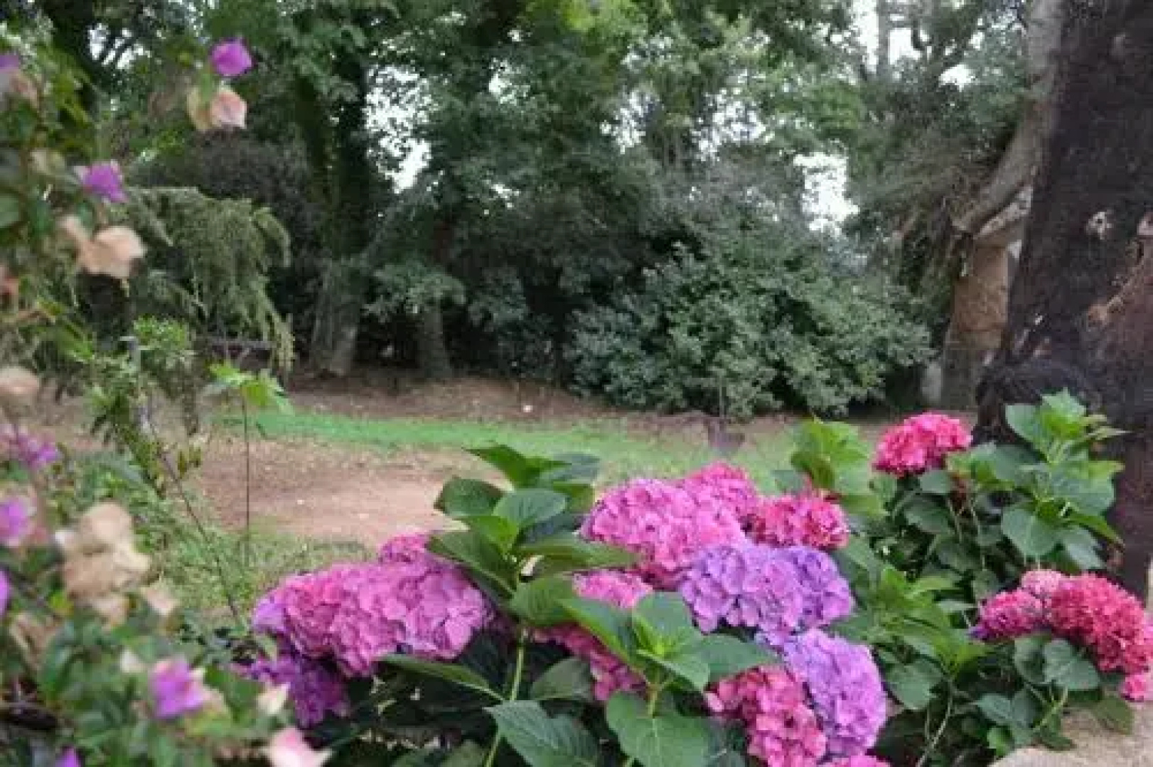 B&B Maison et Charme