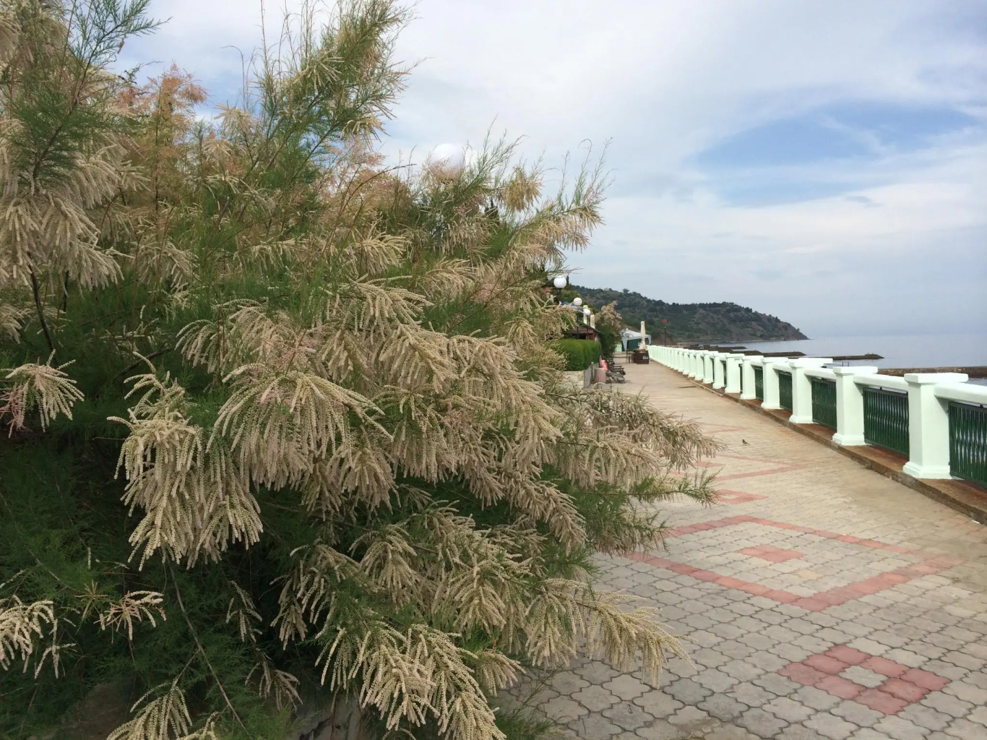 Алые паруса