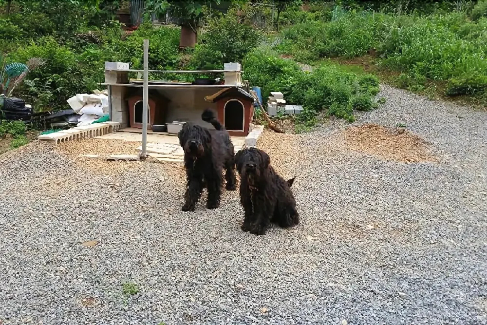 Seosan Pinehealing Pension