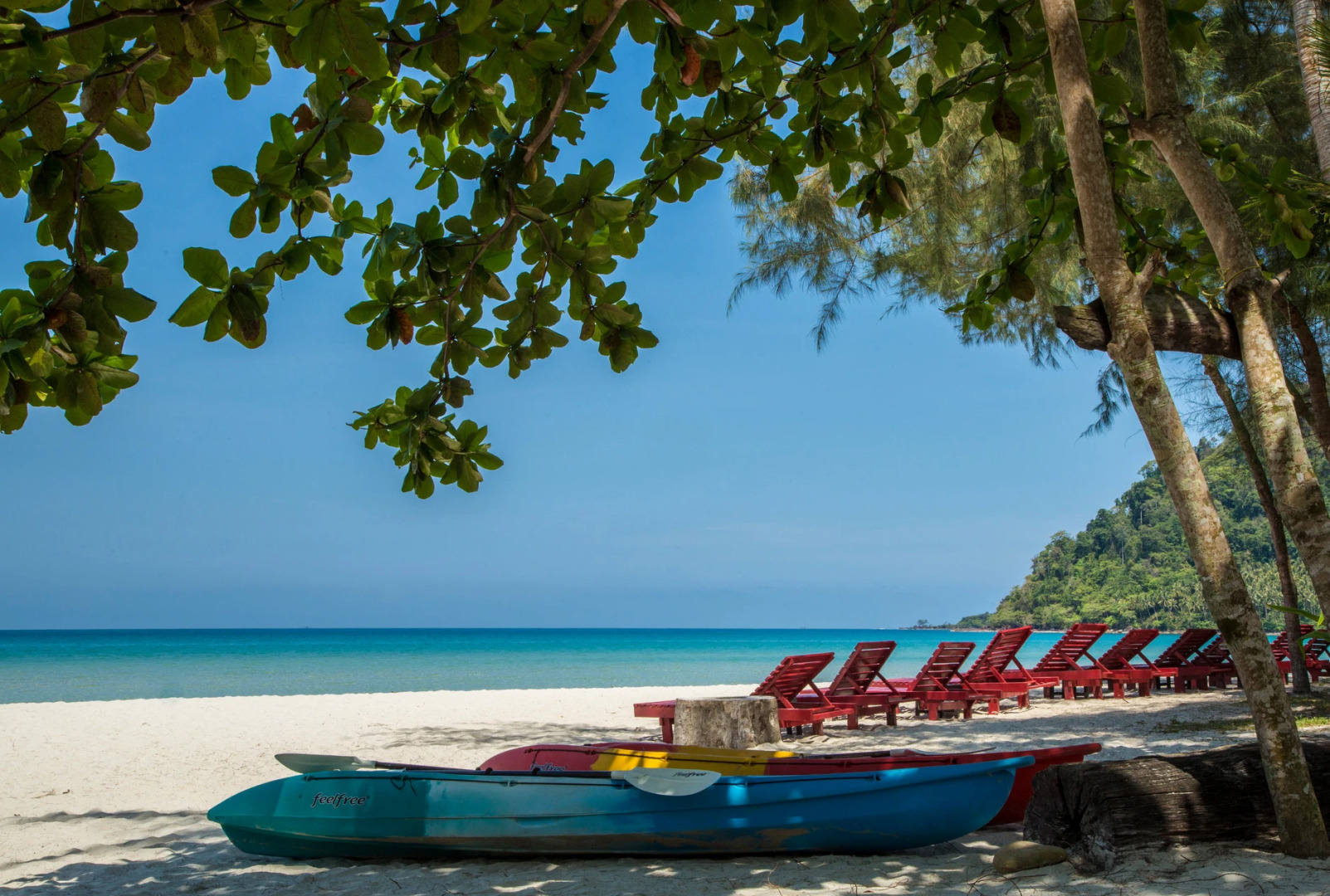 Sunshine on the rock