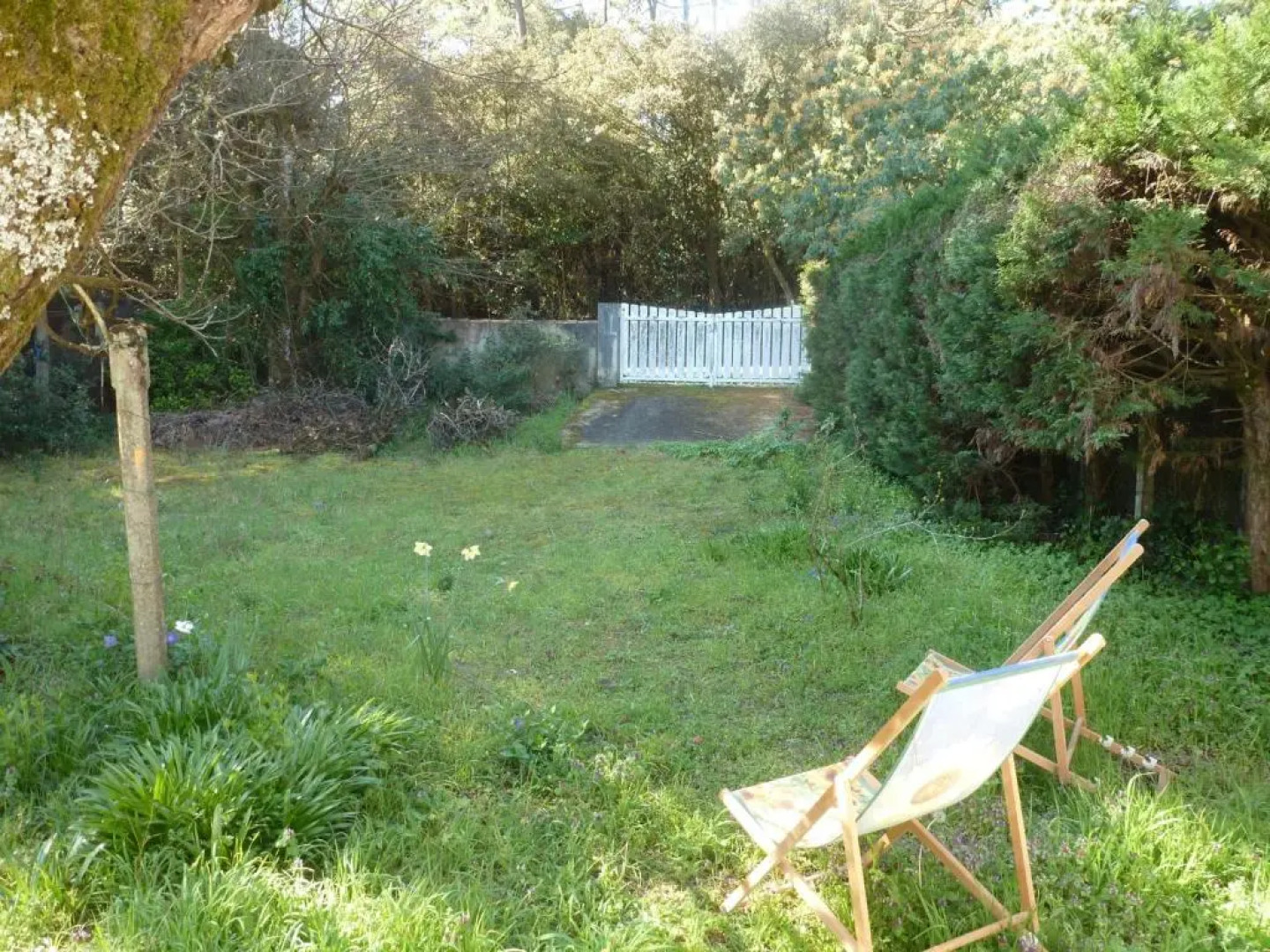 Maison La Barre-de-Monts, 4 pièces, 6 personnes - FR-1-473-41