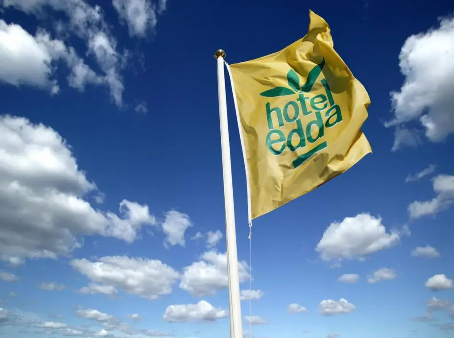 Log Cabin at White River