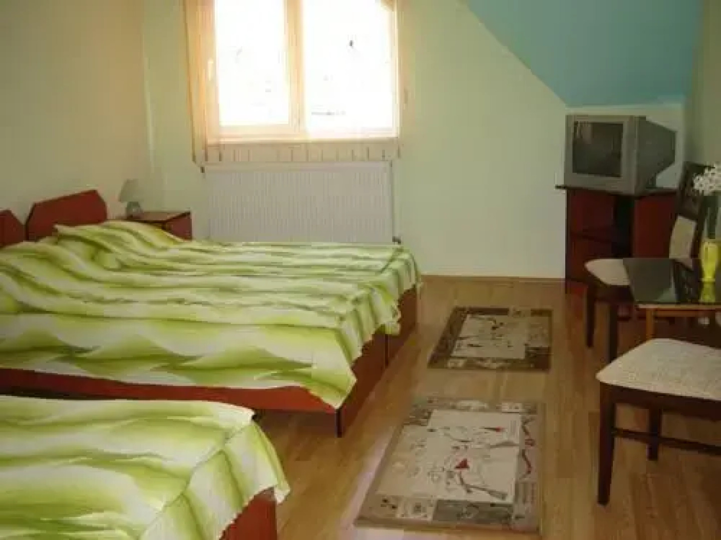 Pensiunea Nemes Panzio