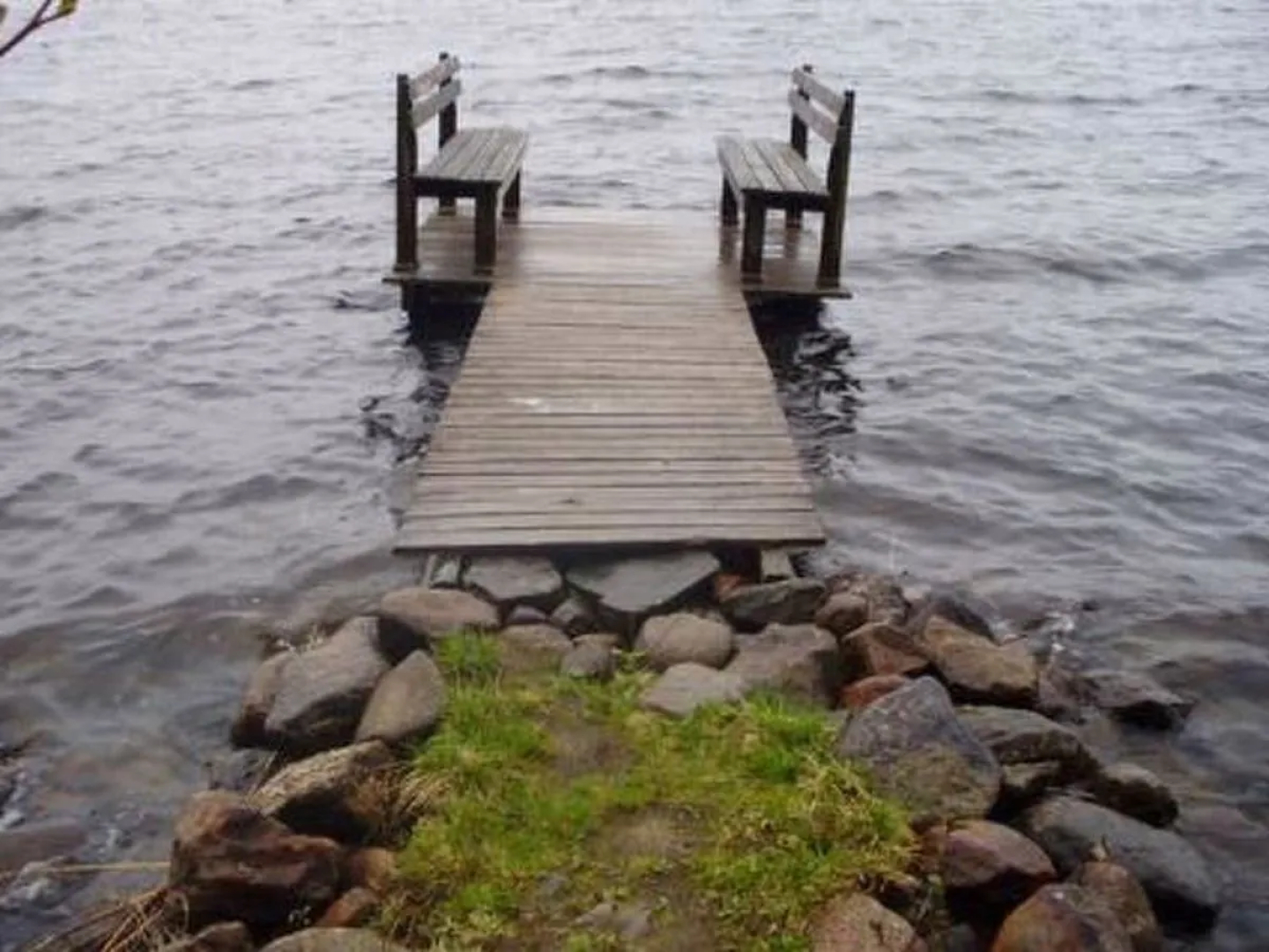 Hevonkuusi