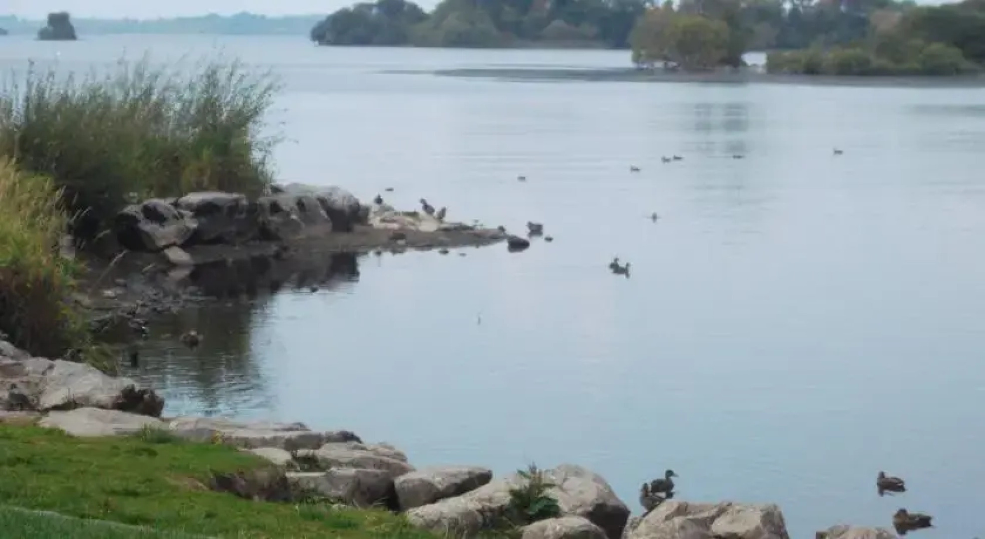 No 20 Killarney Holiday Village