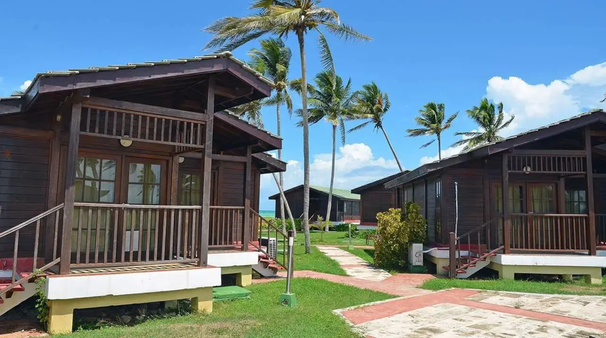 Starfish Cayo Guillermo