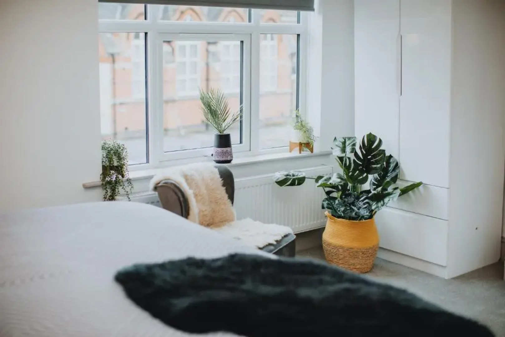 Entire House with Parking in Rugby