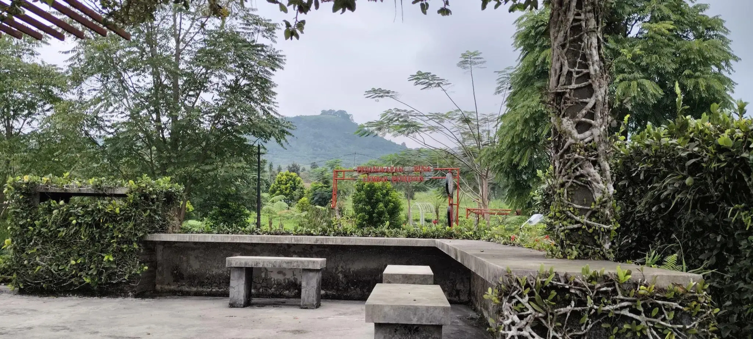 Tea Garden Resort