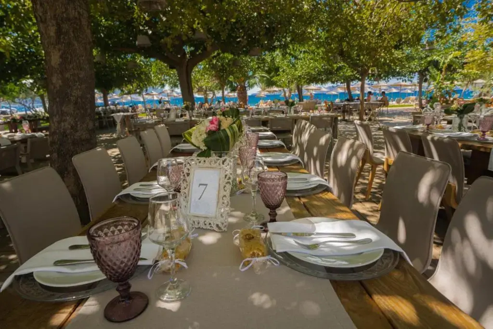 Zoe Seaside Resort
