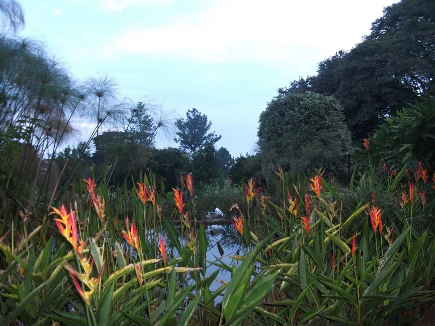 La Catalina Hotel and Suites