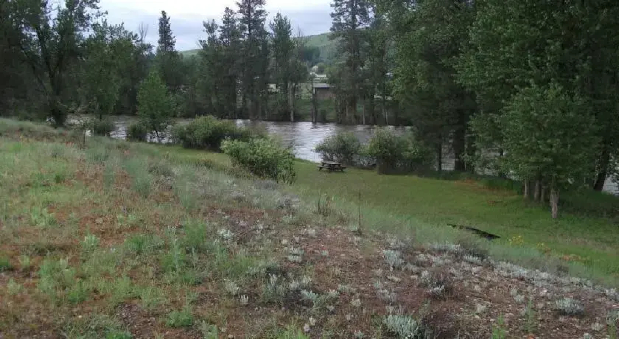 Cascade Inn and Suites