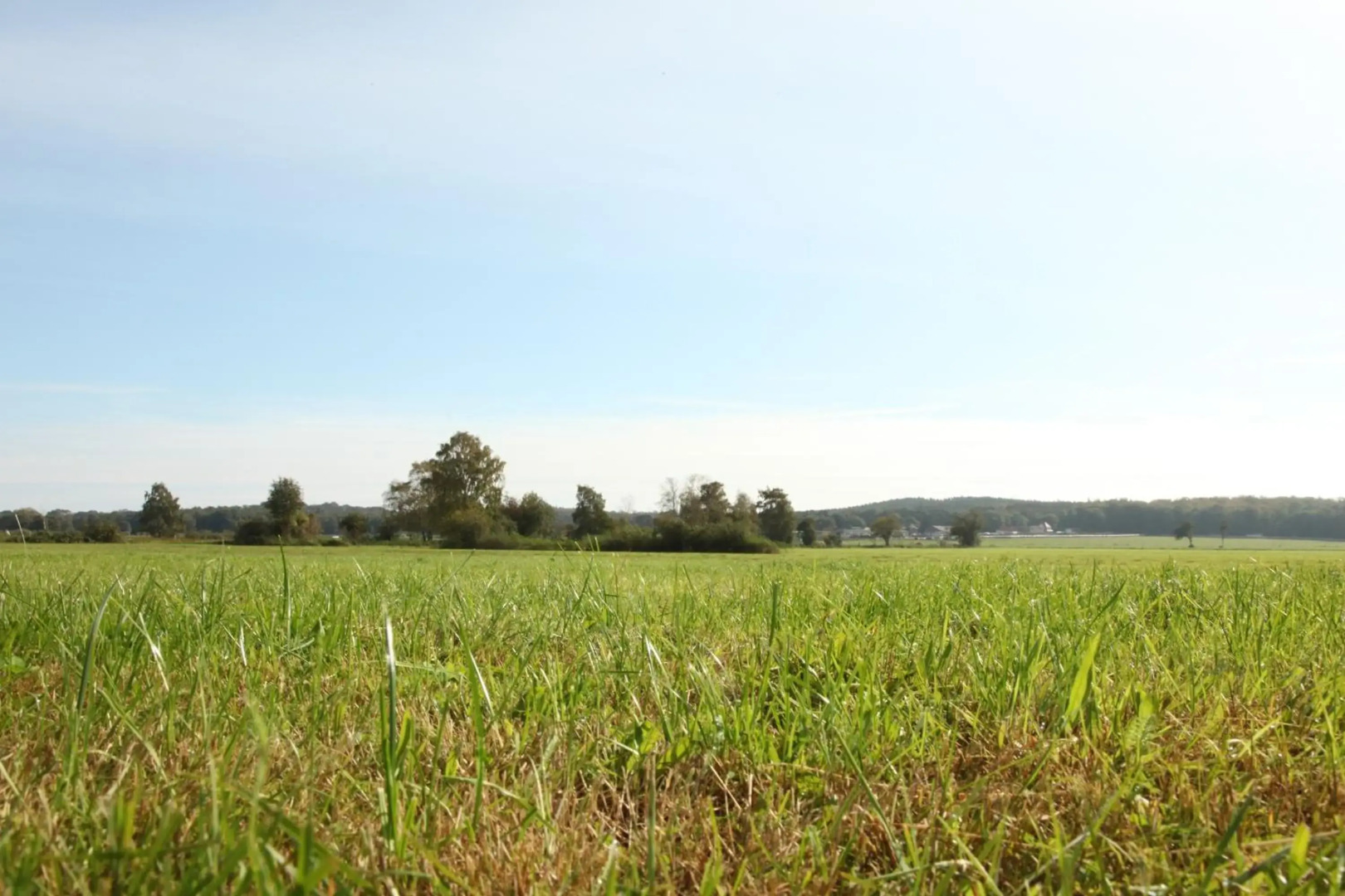 Ferienwohnungen Tannengrund