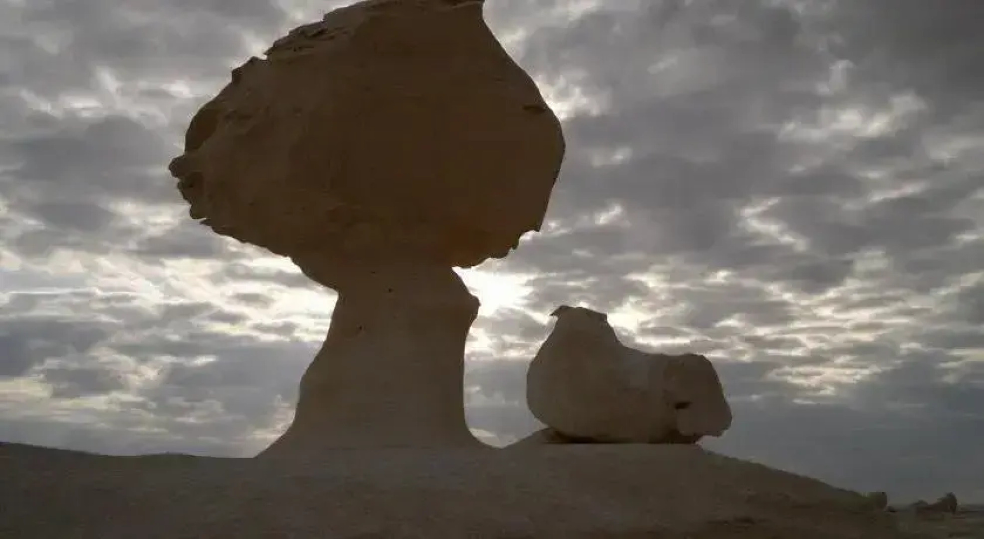 Desert Fox Club Camp