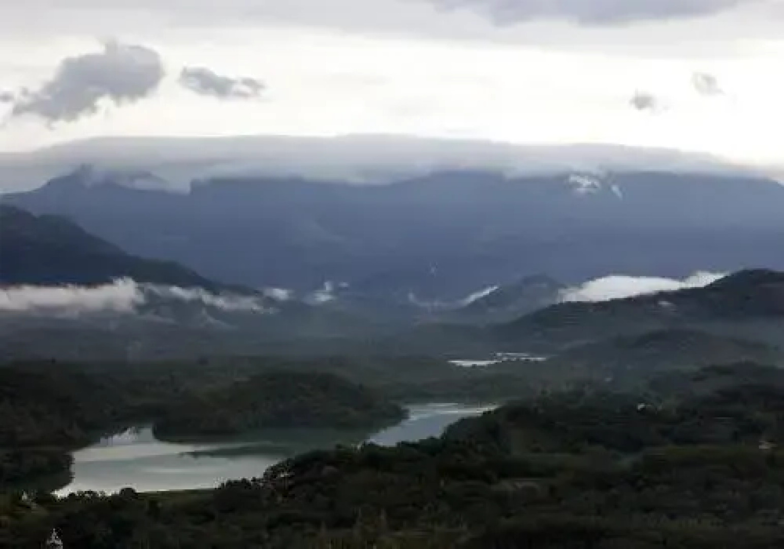 Bio Veda Ayurvedic Hill resort