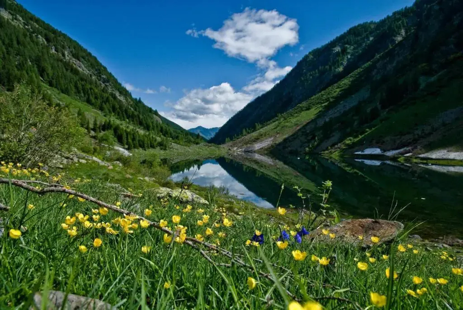 Wine Hotel Retici Balzi