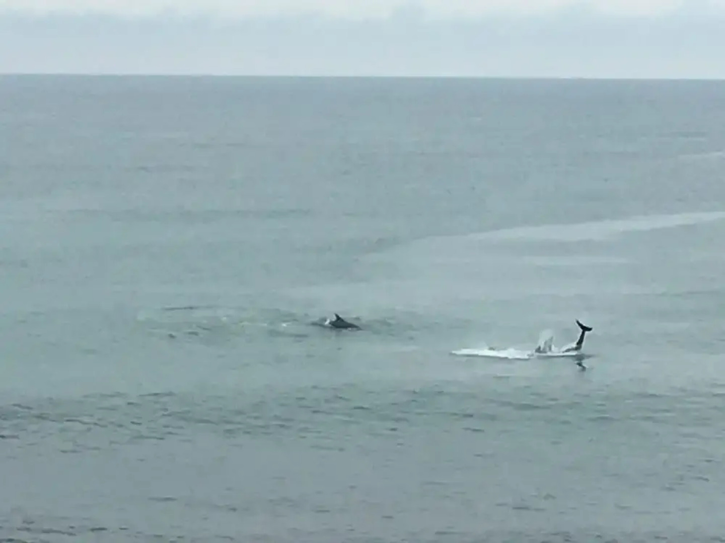 Beachfront Panoramic Seaview Free Wifi & Parking