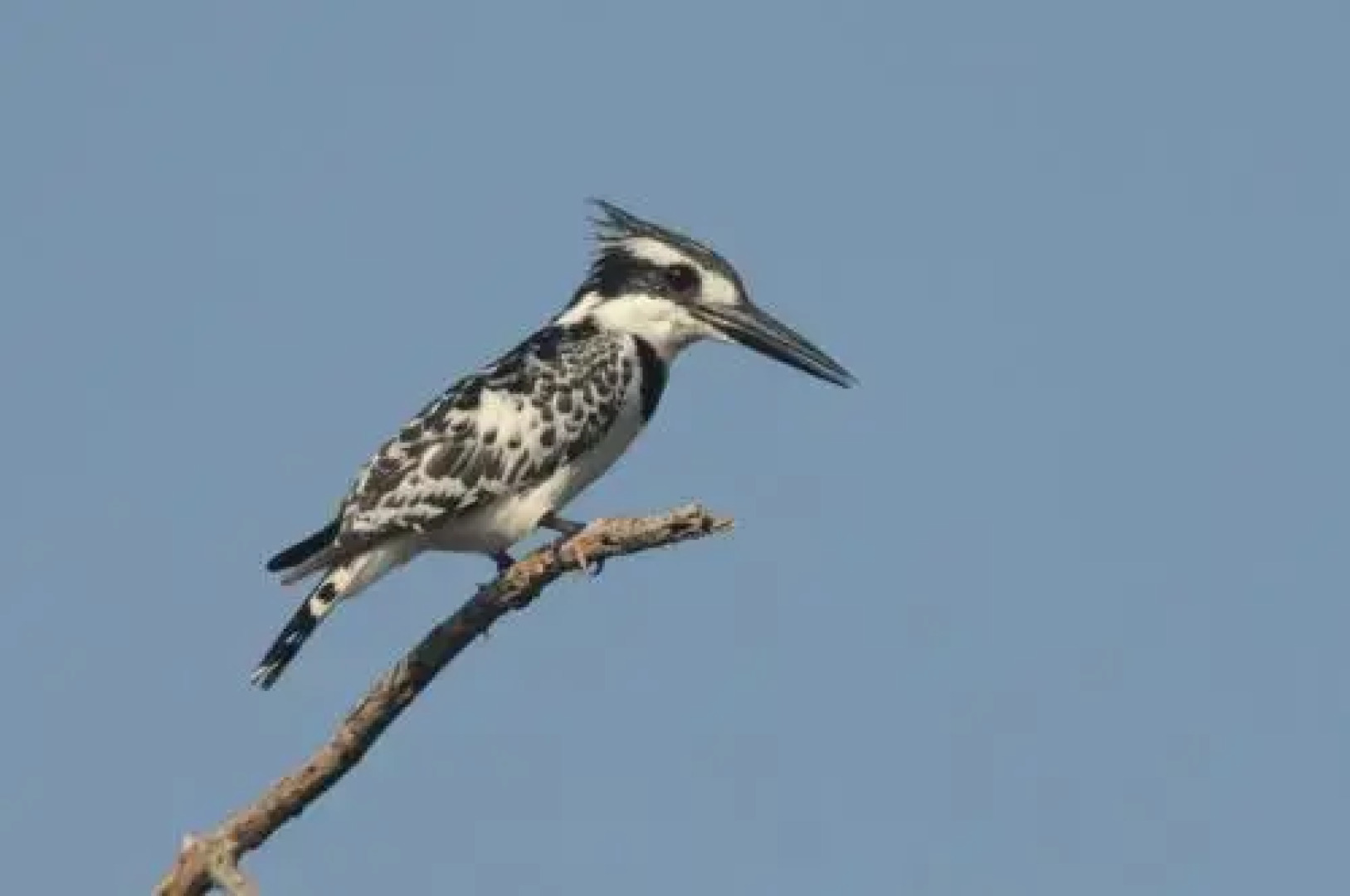 Island Camp Lake Baringo