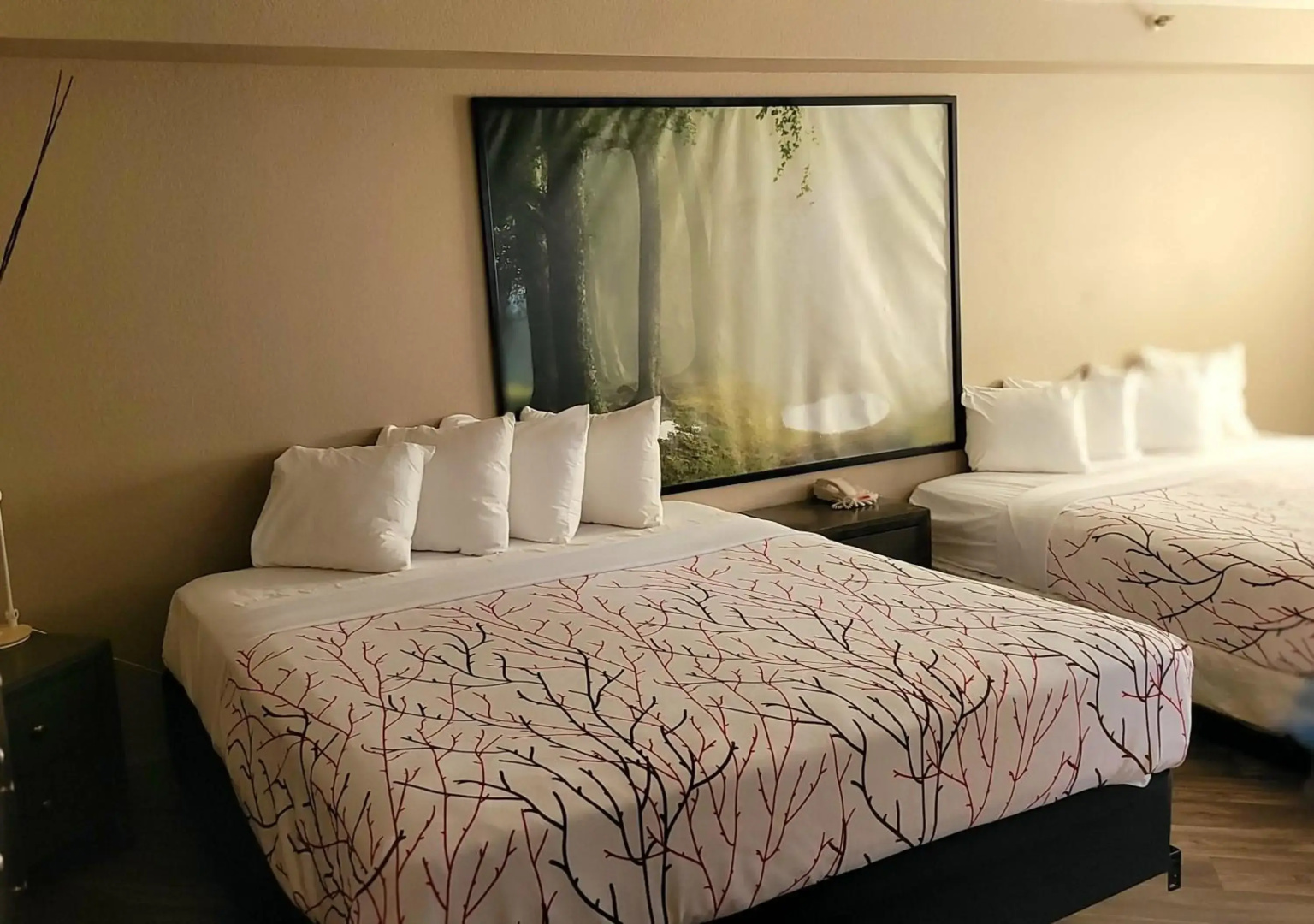 Surestay Plus Hotel By Best Western El Cajon