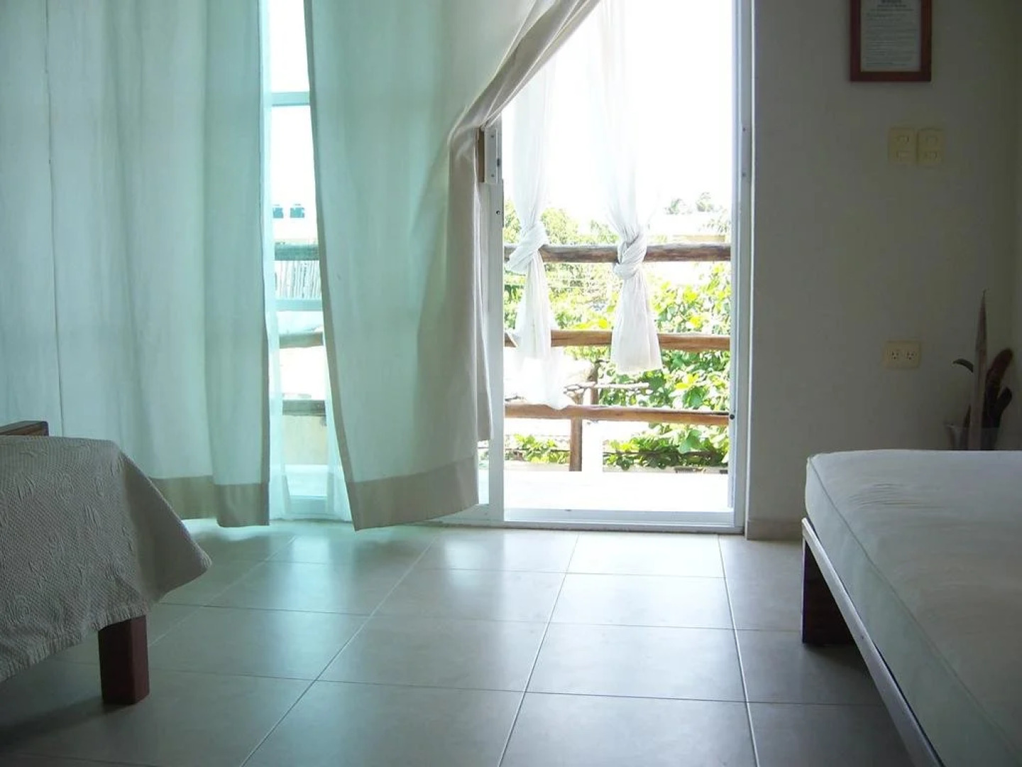 Elements of the Island