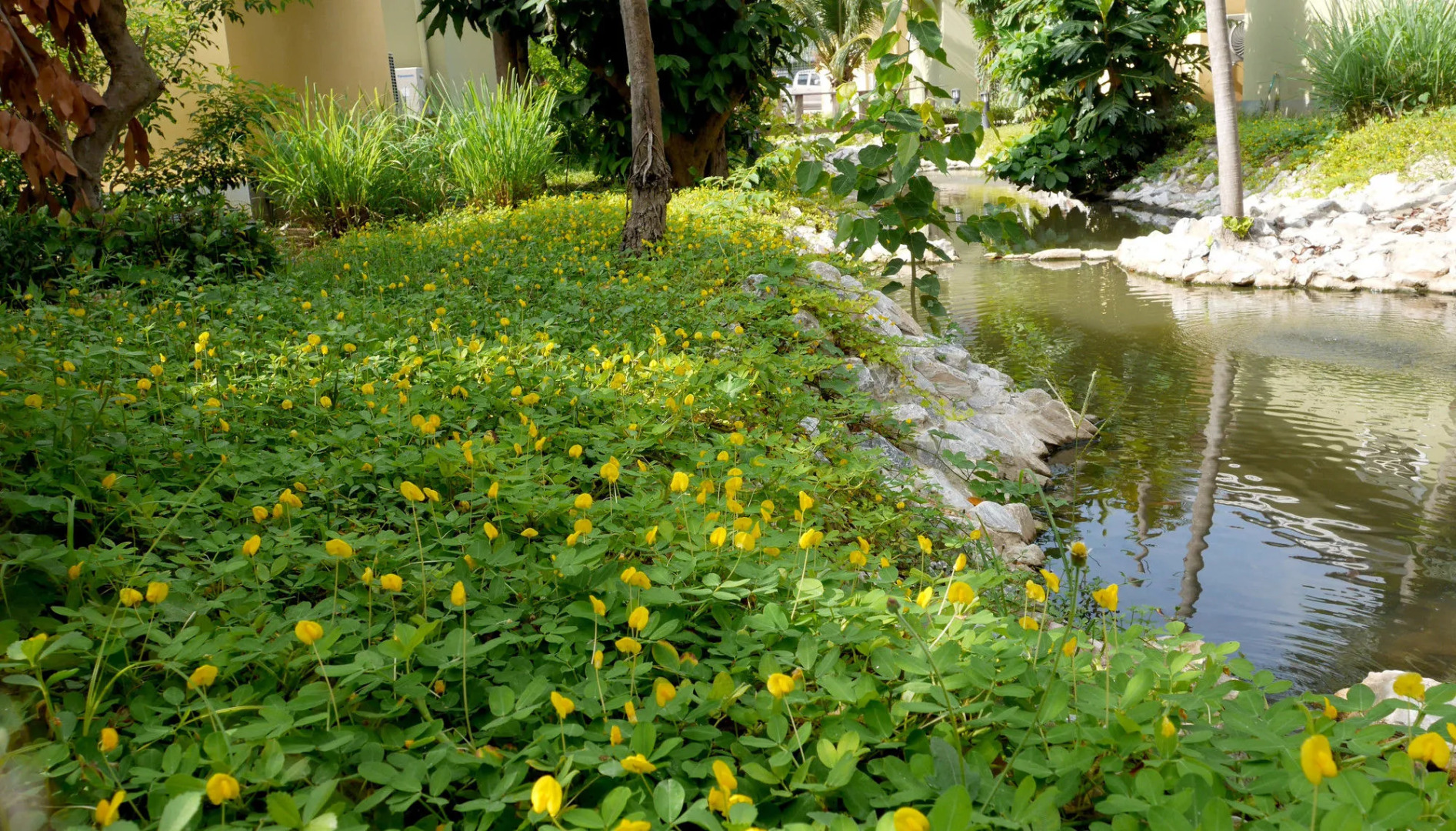 WangPla Villa Resort