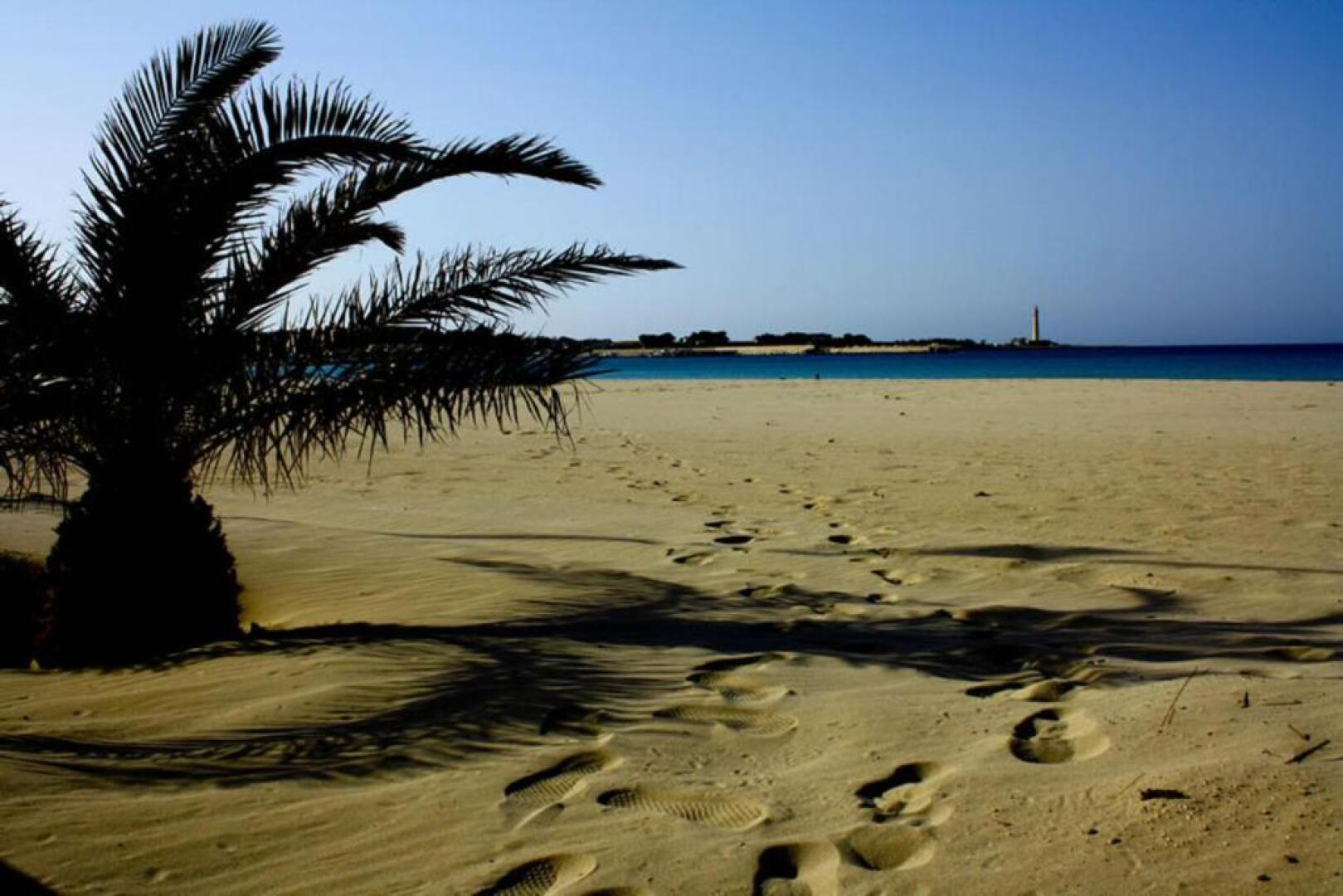 Case Paseda Acquamarina