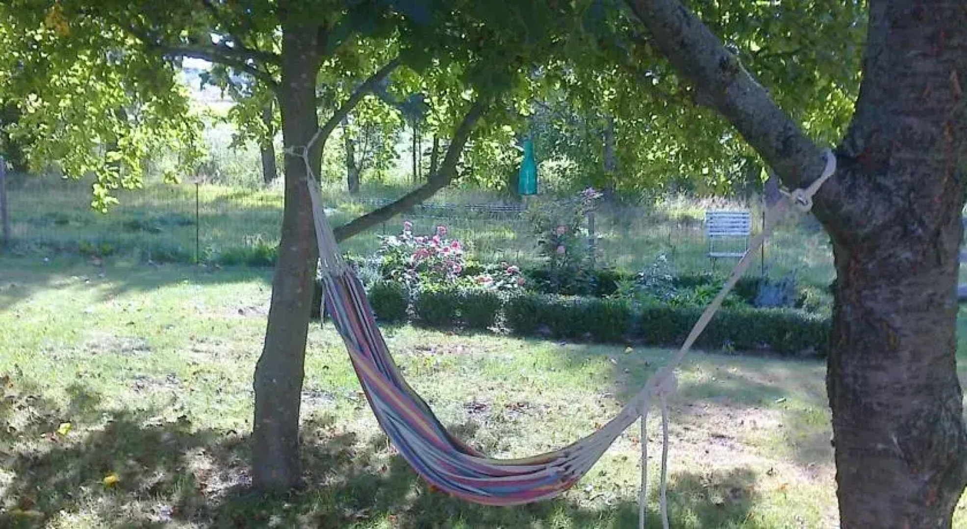 Pegasus B&B