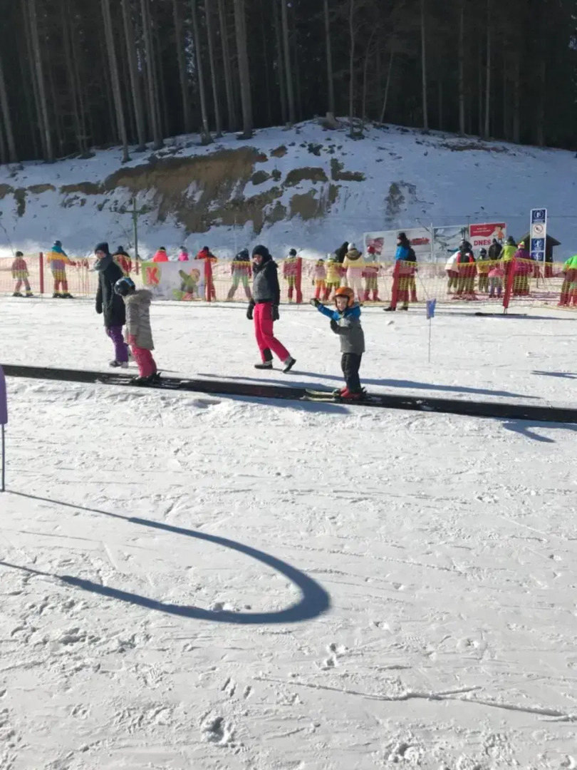 Sun & Snow Hollyhome