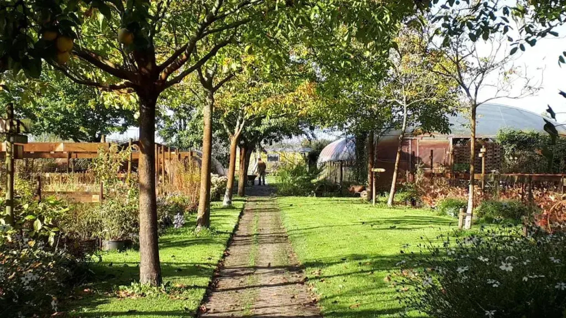 Pipowagen Overnachting Het Houten Huis