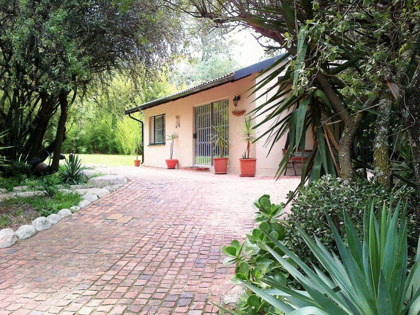 Pine Tree Lodge