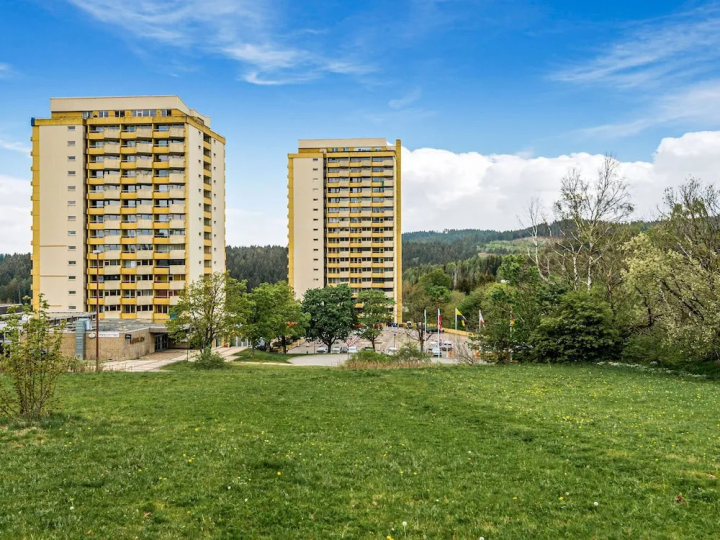 Bright Apartment in Hohegeiß With Swimming Pool