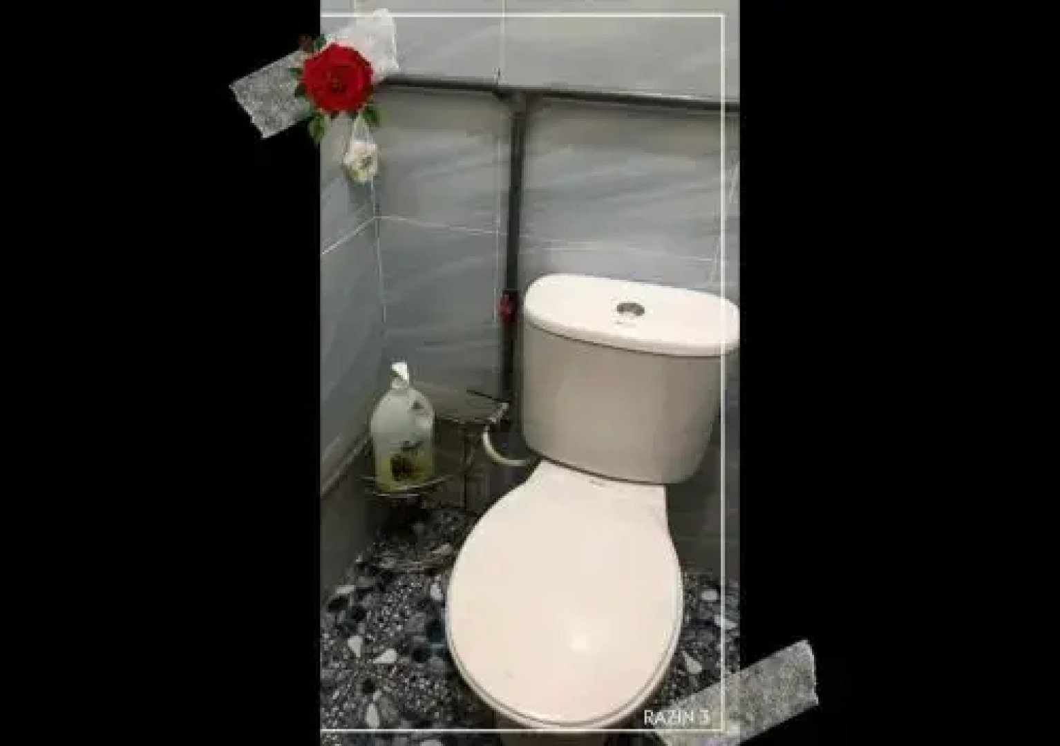 Homestay Razin Gong Badak