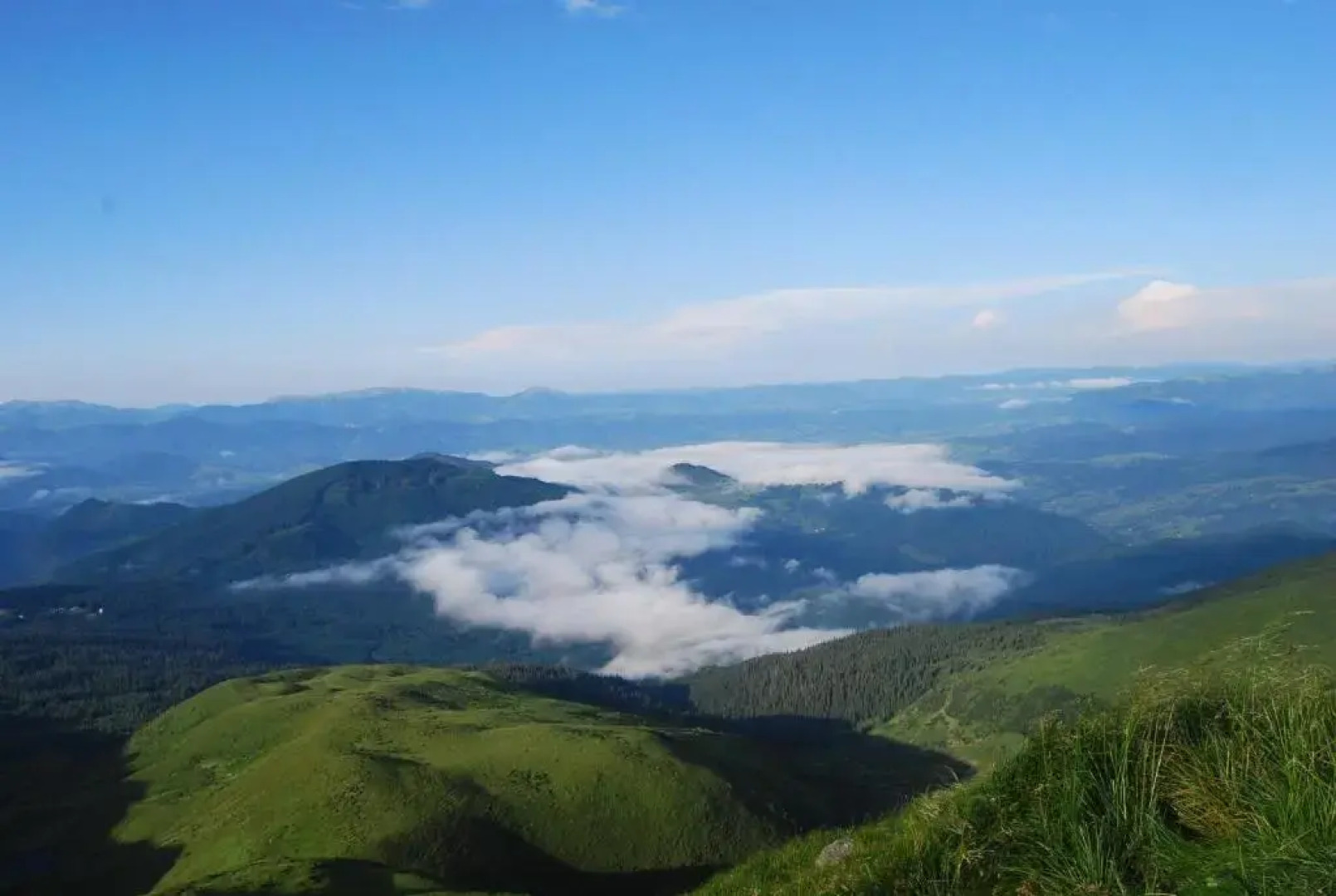 Отель «Зеленая дача»