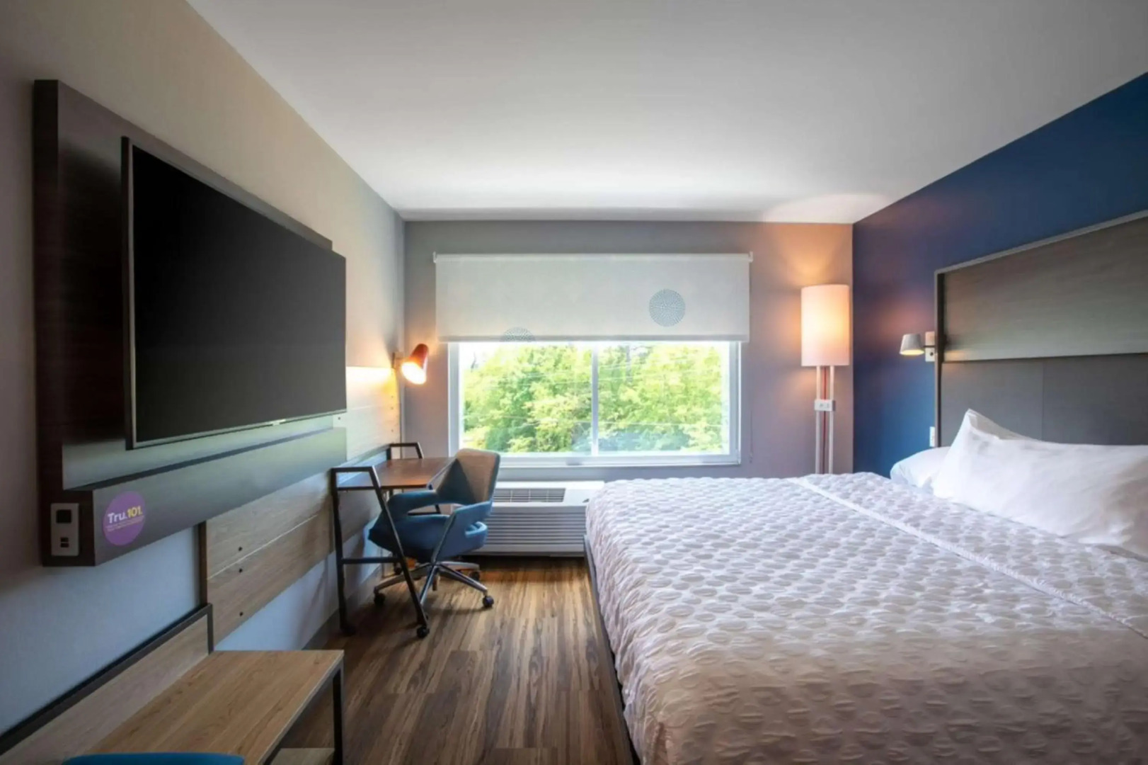 Tru by Hilton Seneca Clemson