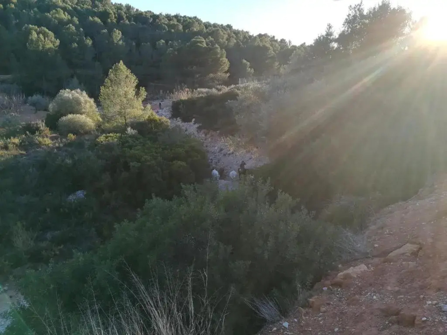 Pou De Beca Allotjaments i agroturisme