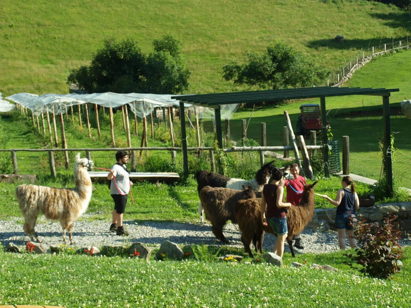 Agriturismo Le Radici