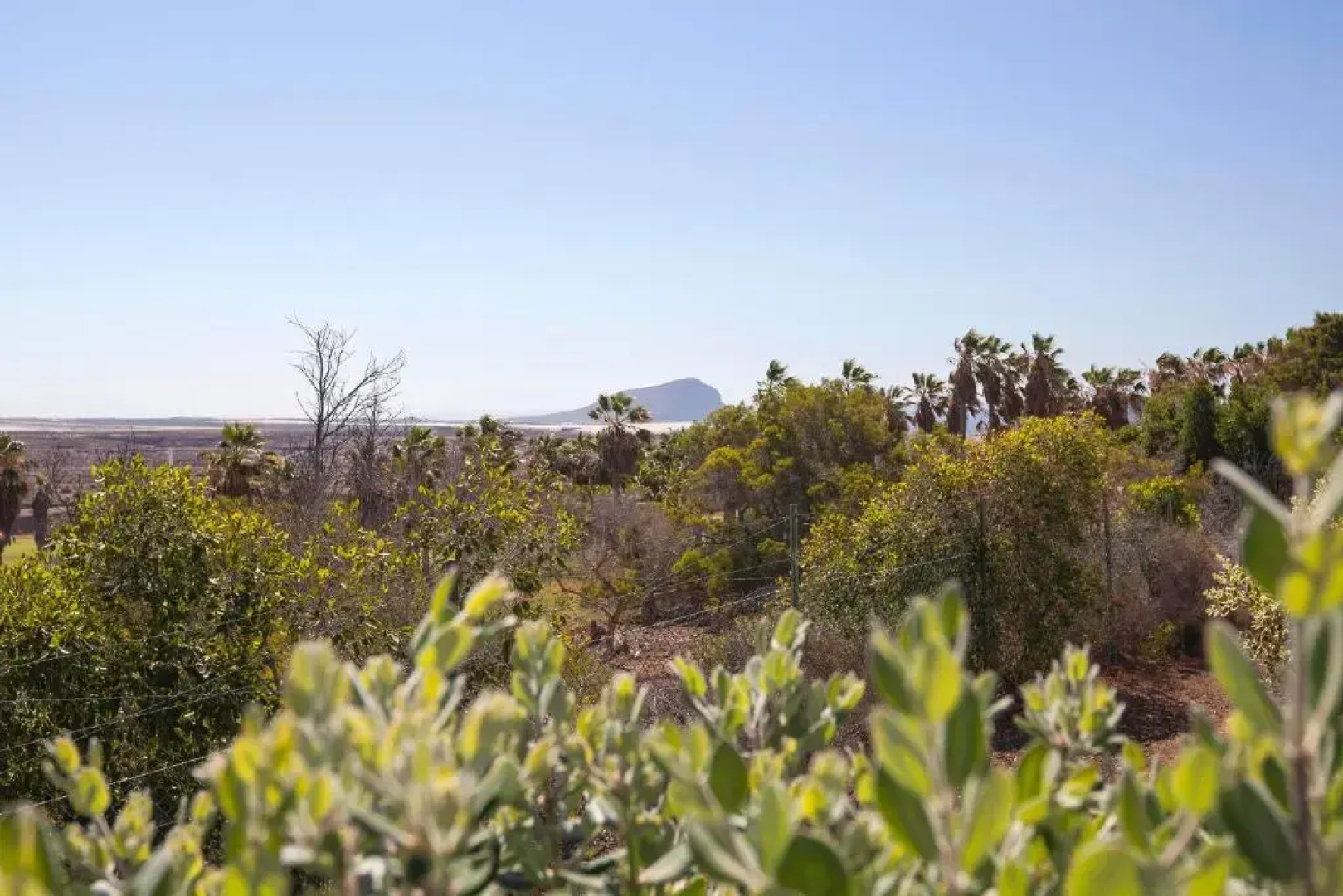 San Andres Resort Villa 54 Golf del Sur