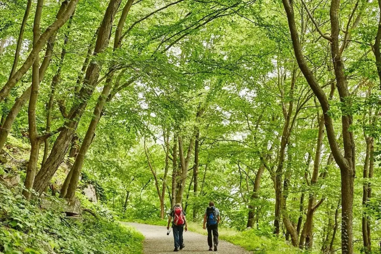 Tentrr - Grotto View at Stone Mountain