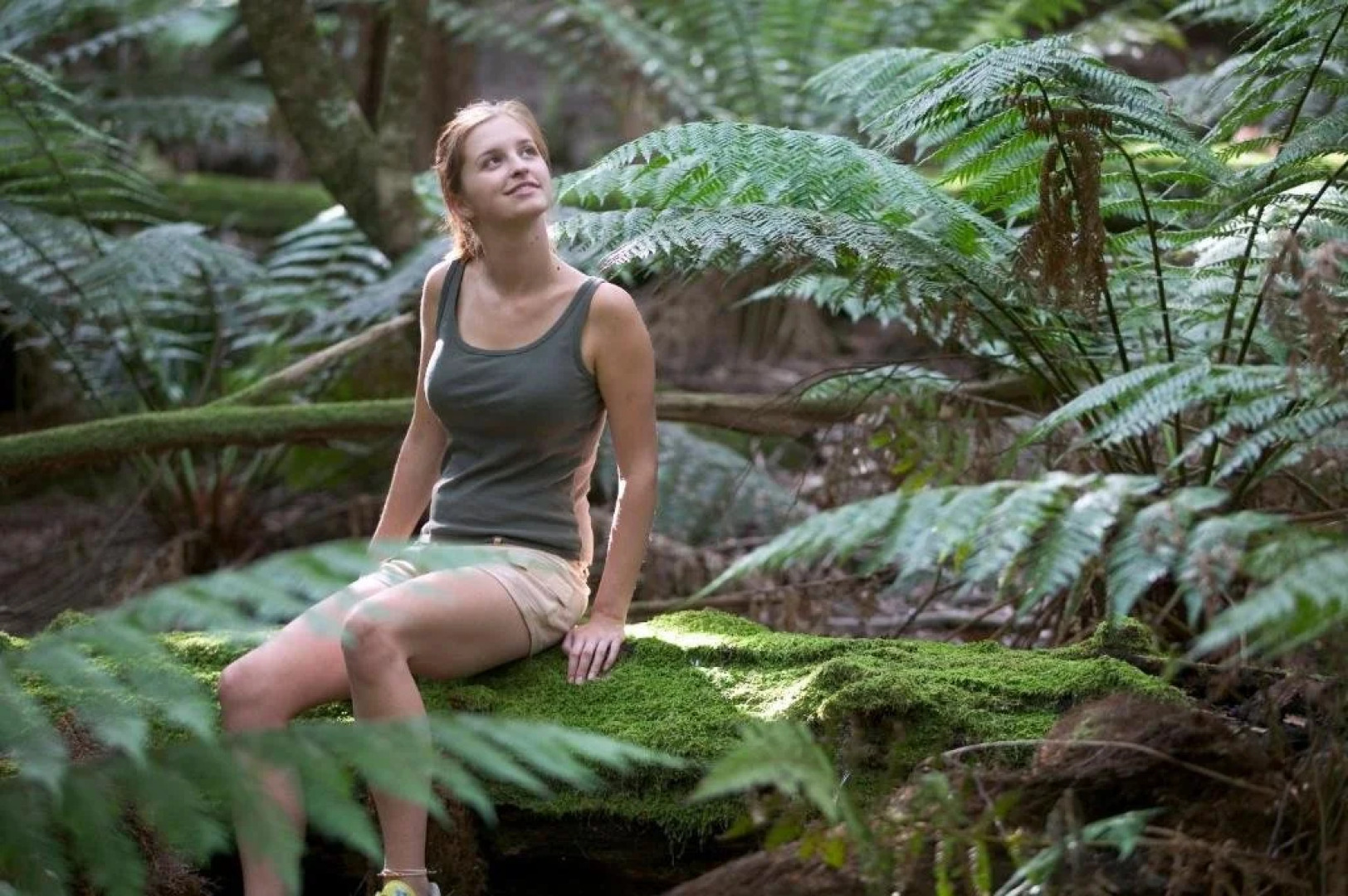 16 Gregson - Silky Oaks