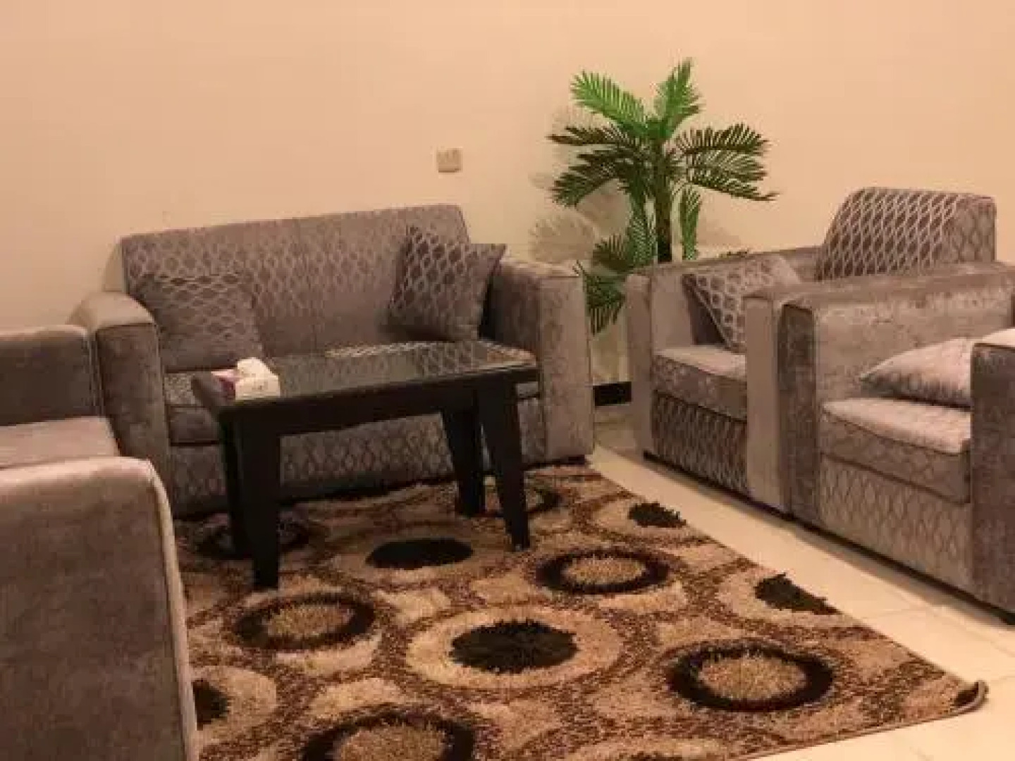 Arees Furnished Units