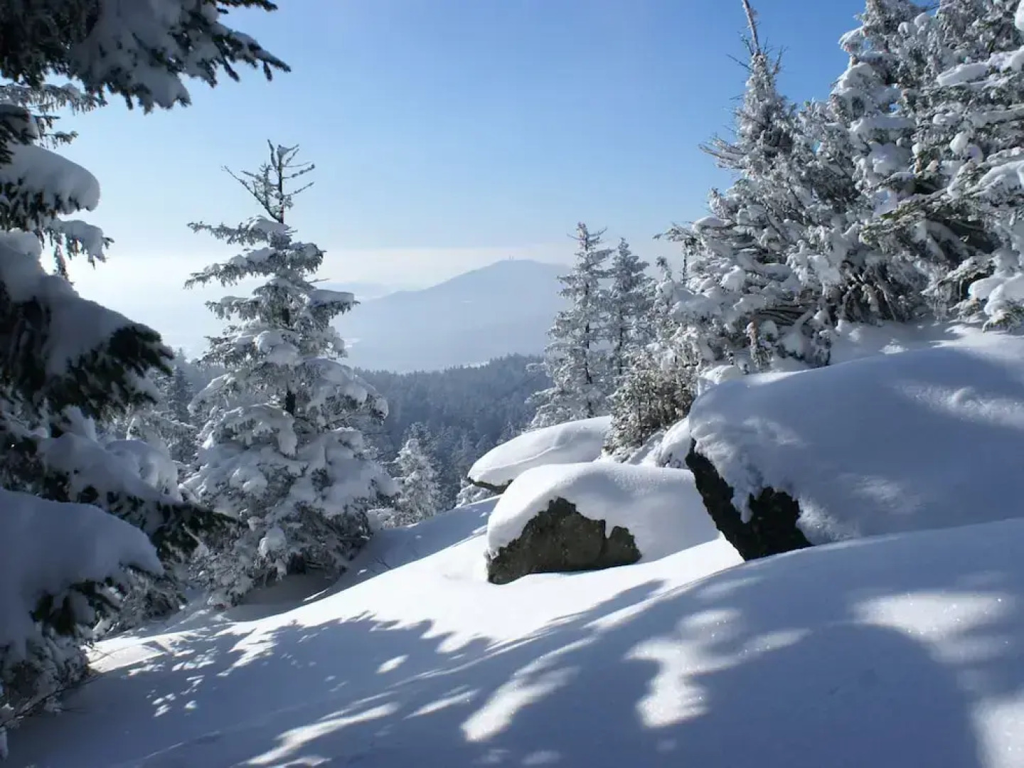 Gemutliches Appartement in Bayern mit Sauna
