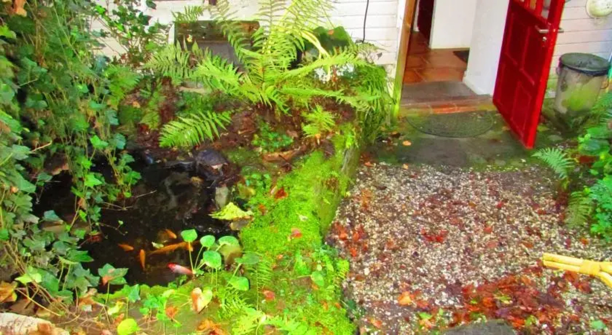 Bed and Breakfast Cauberg