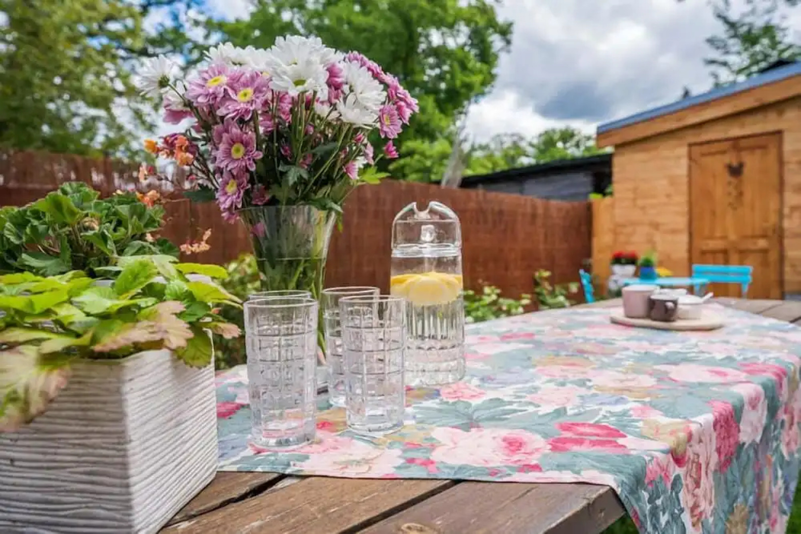 APT in Alb. nad Orlici by Michal&Friends