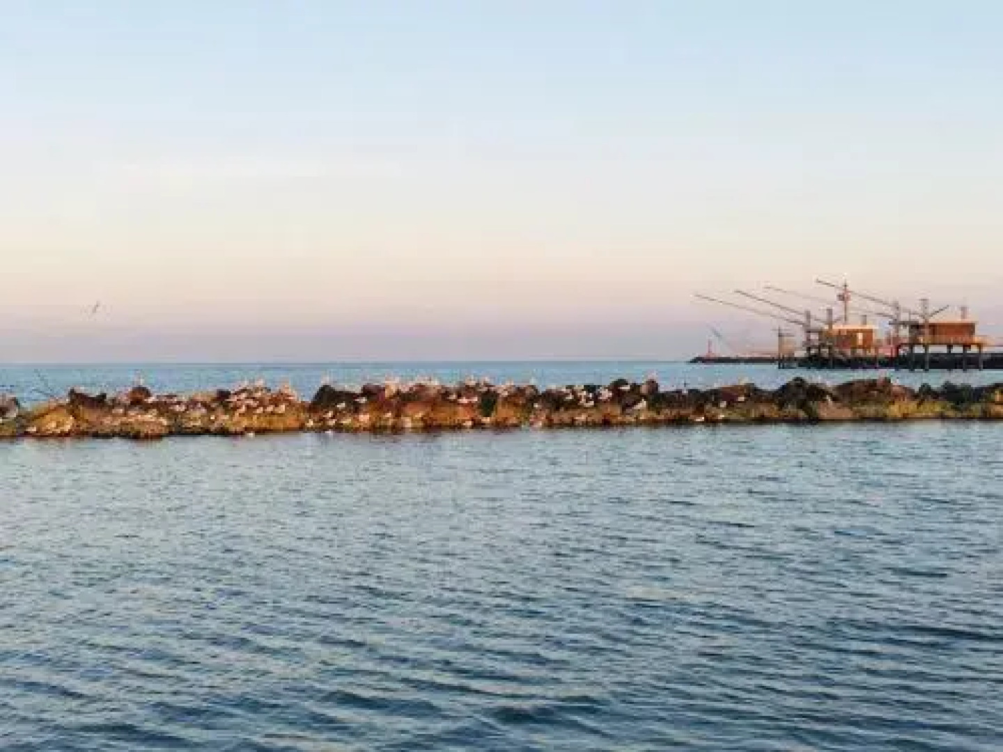 Res. Michelangelo Resort 252S