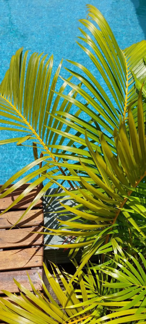 Arataba Hotel Boutique e Bistrô - 150 mts do mar