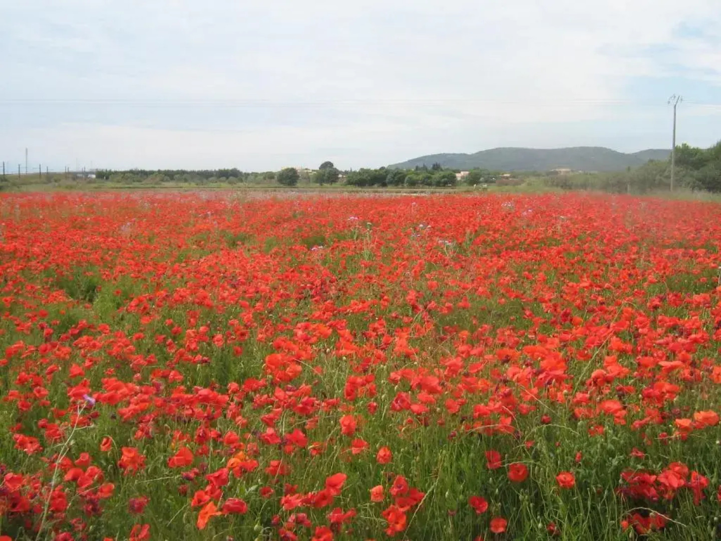 Chambres d'hôtes Lou Félibre
