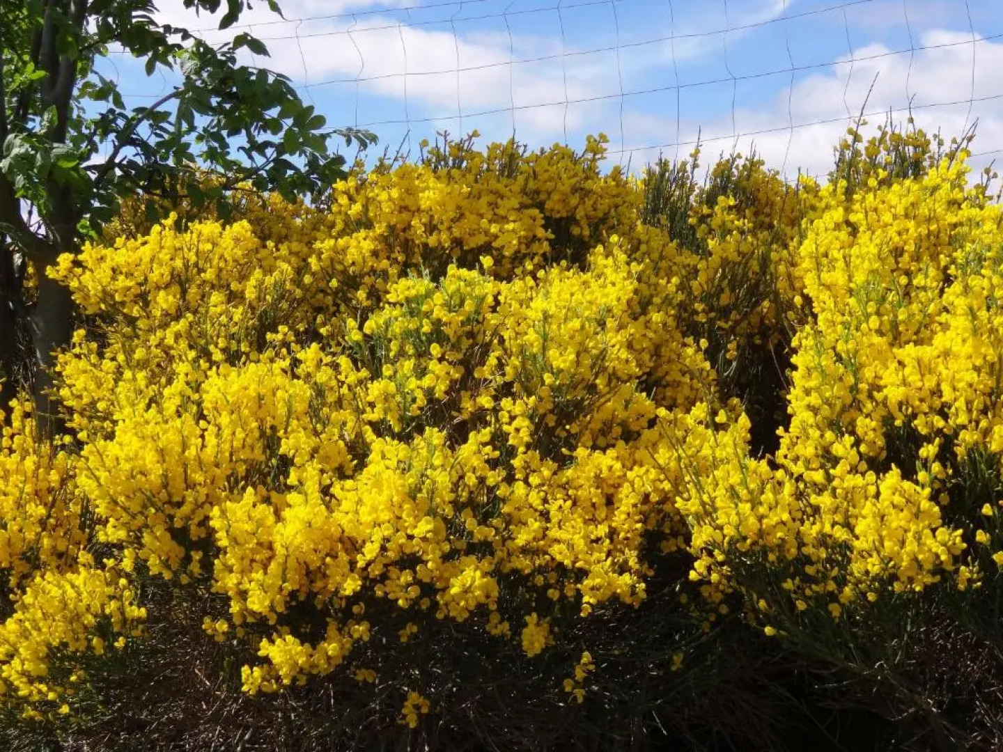 Le Relais De Rochepaule